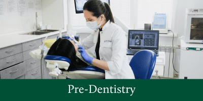 pre-dentistry