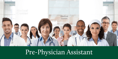 pre-physician assistant
