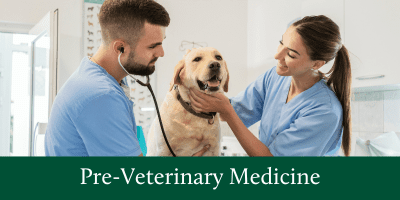 pre-veterinary medicine